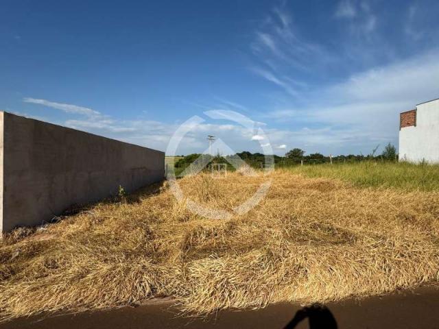 Terreno Venda Jardim Doutor Roberto Pacheco em Jaú