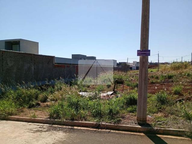 Terreno Venda Residencial Campo Belo em Jaú